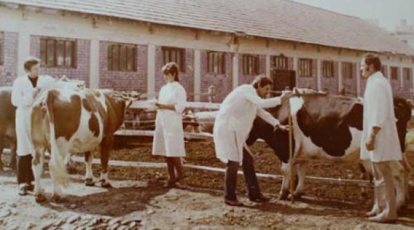 ajutoare in unt si cereale furajere din america