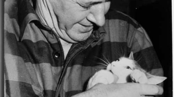 catelusa n a nascut decat alaturi cu mihaela stefan si amza