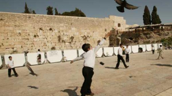 cineva din lacomie isi bate joc visurile unui om sarman