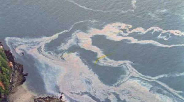 reciclarea deseurilor din propria locuinta ne face viata mai buna