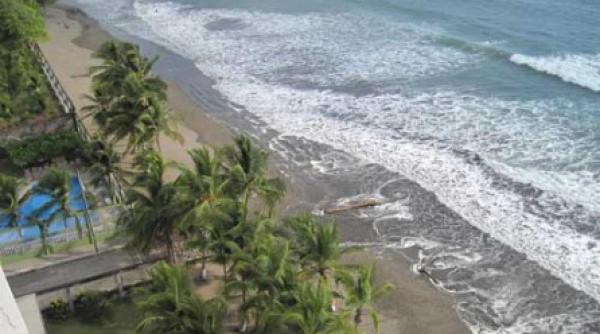 cronica unui tsunami anuntat