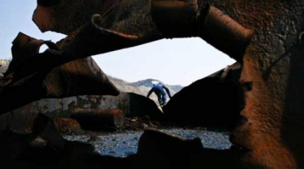 familia kovari copsa mica