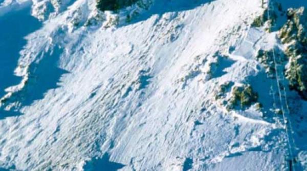 mamutul viu de 2 000 de ani