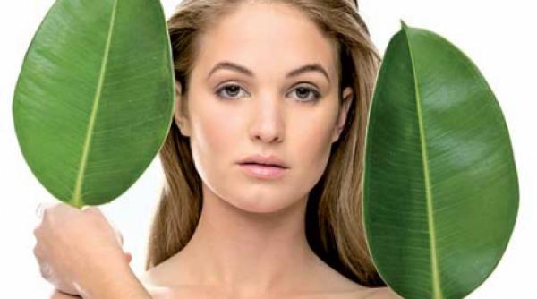 brusturele tonic pentru par