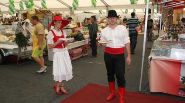 atractii in piata constitutiei