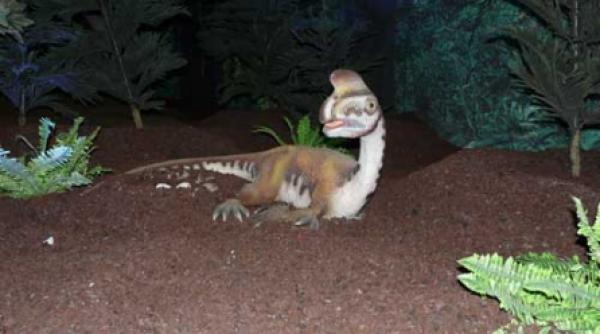 dinozaurii lui spielberg au ajuns in romania