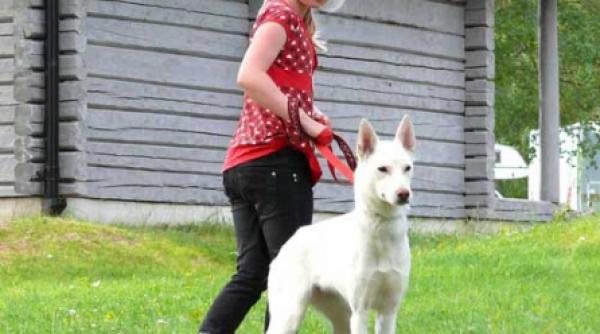 perfida scufita rosie de la tv