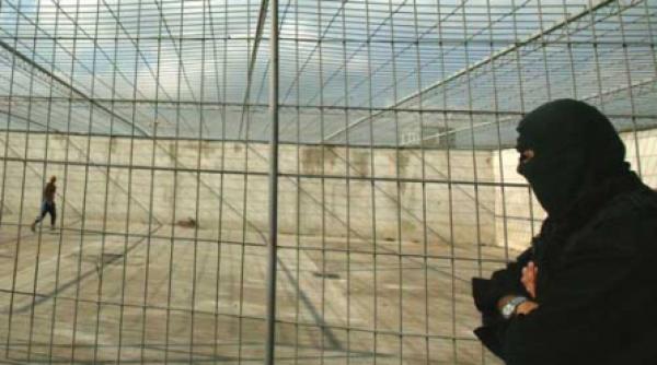 ghicitoare cati politicieni corupti au ajuns la inchisoare