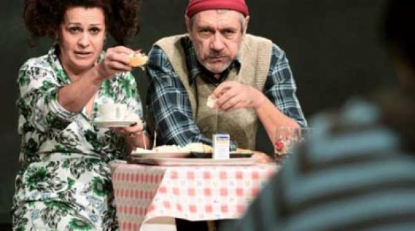 viata la tara vazuta de mimi branescu