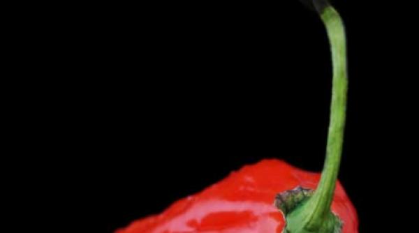 cel mai iute ardei inarmare cu ciusca