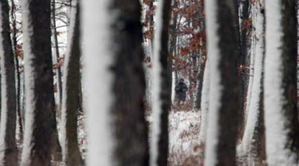 cum sa ucizi ciocanitoarea ca sa i vezi limba