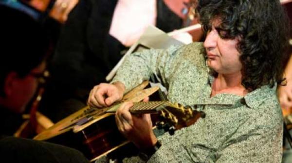 sarmalele reci in engleza cold stuffed cabbage rolls