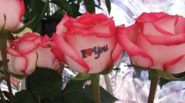 poti transmite mesaje din suflet chiar si pe o petala