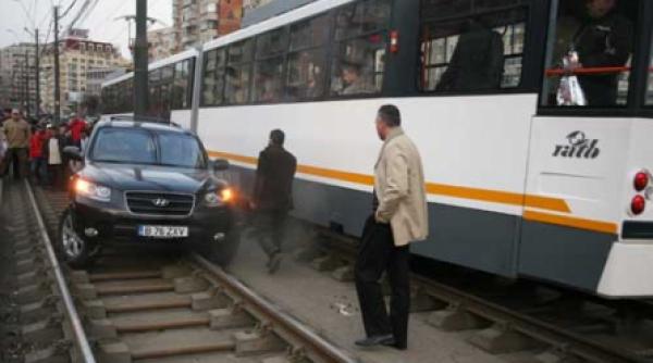 atentie porci la volan