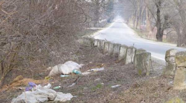 bucovina plina ca stupurile de gunoaie