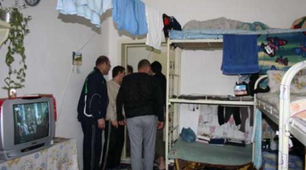 colibasi puscaria primarilor