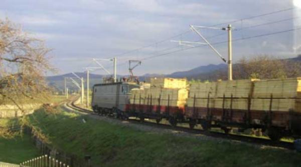 7 milioane de lei pentru avocati