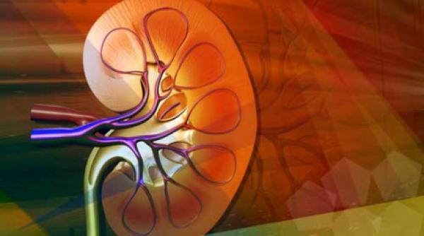 hipertensiunea arteriala secundara