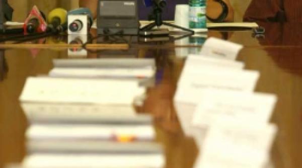 nereguli in ograda lui udrea