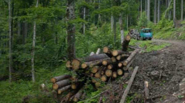 judecatorii eco le au dat peste nas drujbierilor