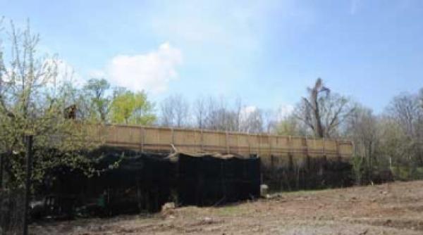 bamboo le gaga de herastrau