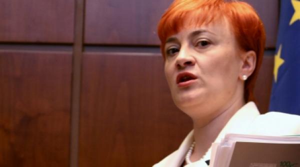 liliana minca eu ma prezint in lupta electorala cu proiecte