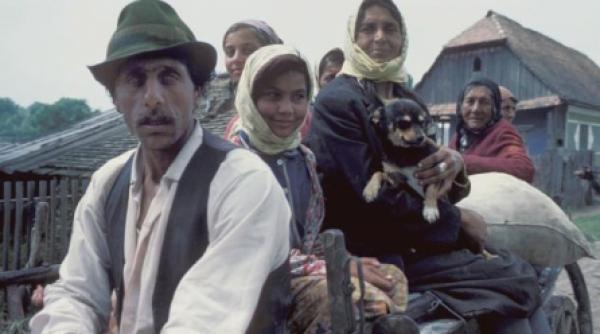 tiganii dintr un sat din caras severin vor placute bilingve