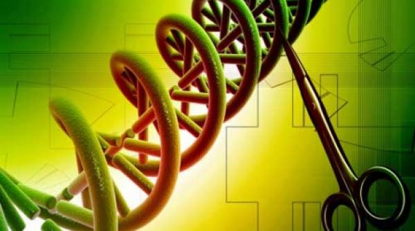 tratamente personalizate