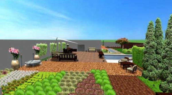 apa ca element principal in amenajarea unei gradini minimaliste