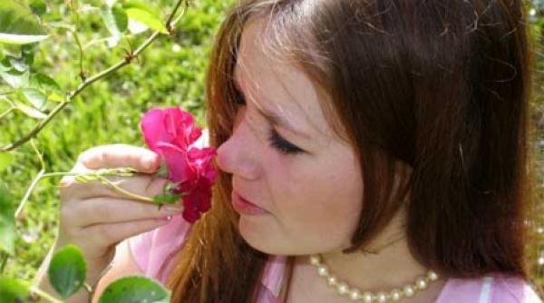 petunii care miros a trandafiri