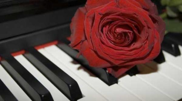 plantele il iubesc pe mozart