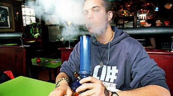 romania locul 4 in europa la consumul de plante etnobotanice