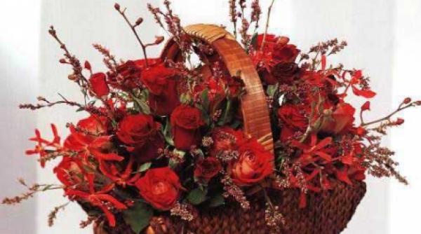 beneficiile florilor zi de zi