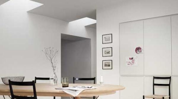 ferestre pentru acoperisul tip terasa