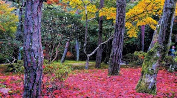 cu degetele incremenite