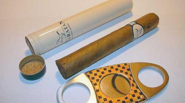 trucuri cu trabucuri