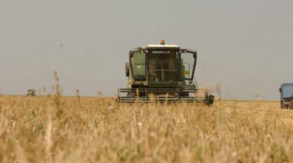 10 la suta din recolta afectata de inghet