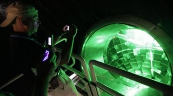 americanii fac stele