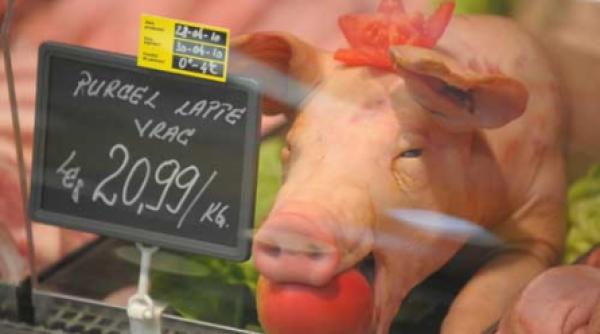 evaziune fiscala de 5 miliarde de euro