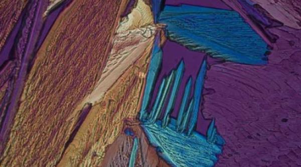 decoratiuni unice cu fotografii la microscop