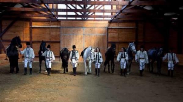 cand caii se dau in spectacol