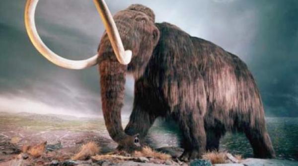 daily mail oamenii de stiinta au clonat sange de mamut