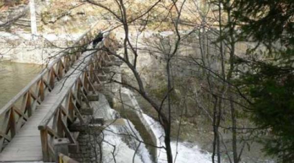 relaxare la izvoarele de aur