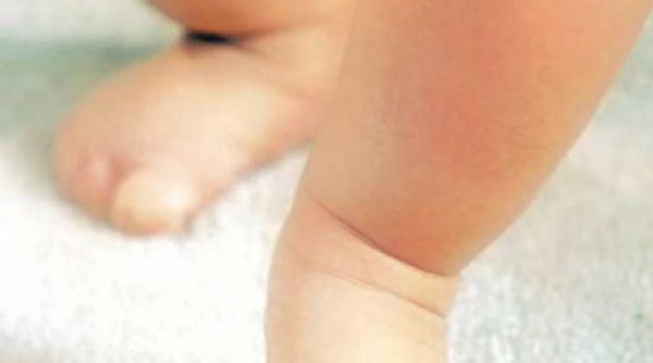 abecedar pentru parinti