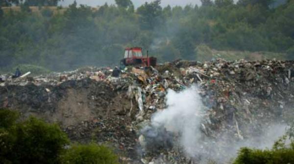 gropile clandestine cartate de ecologisti