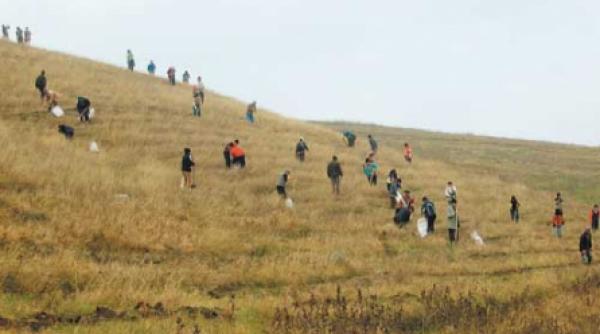 pepiniera bercenilor