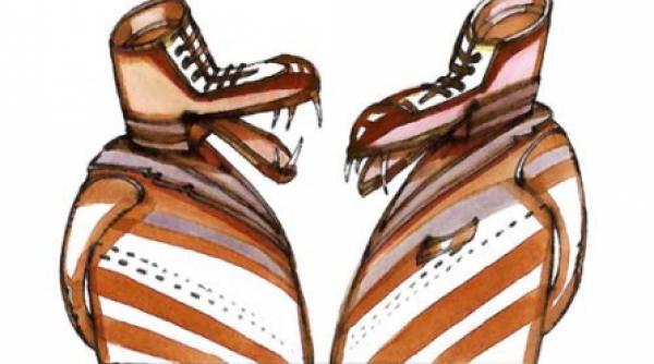 un pantof in capul domnului boc