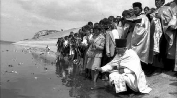 poduri de flori peste prut