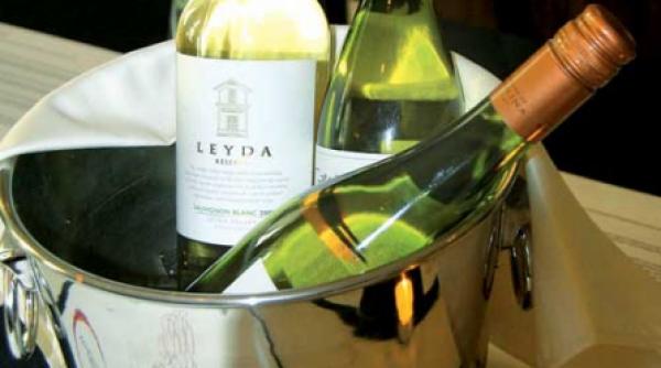 degustare de vinuri chiliene