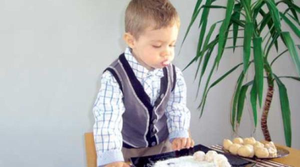 hocus pocus preparatus